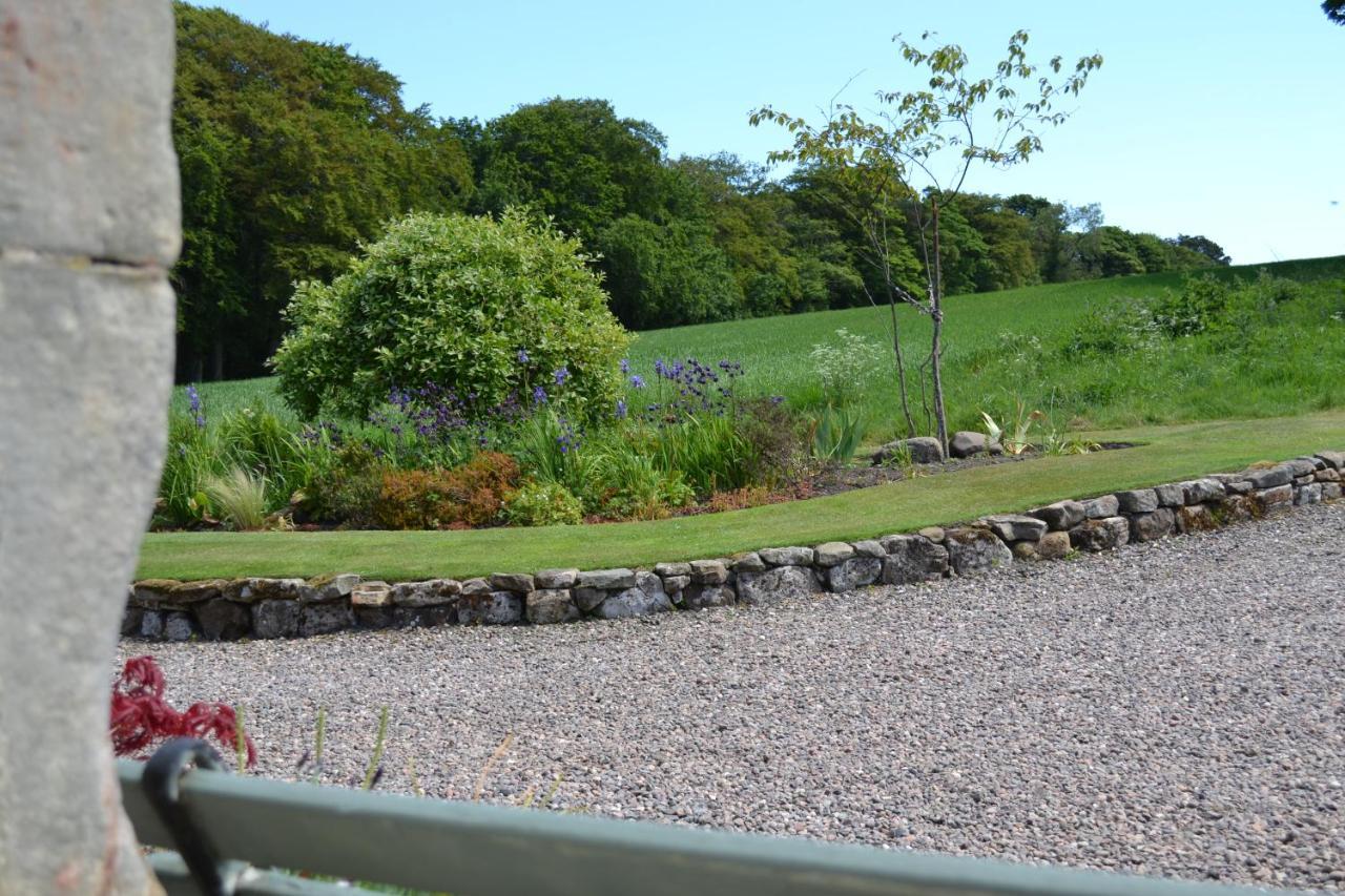 Balmungo Cottage B&B St Andrews Exterior photo