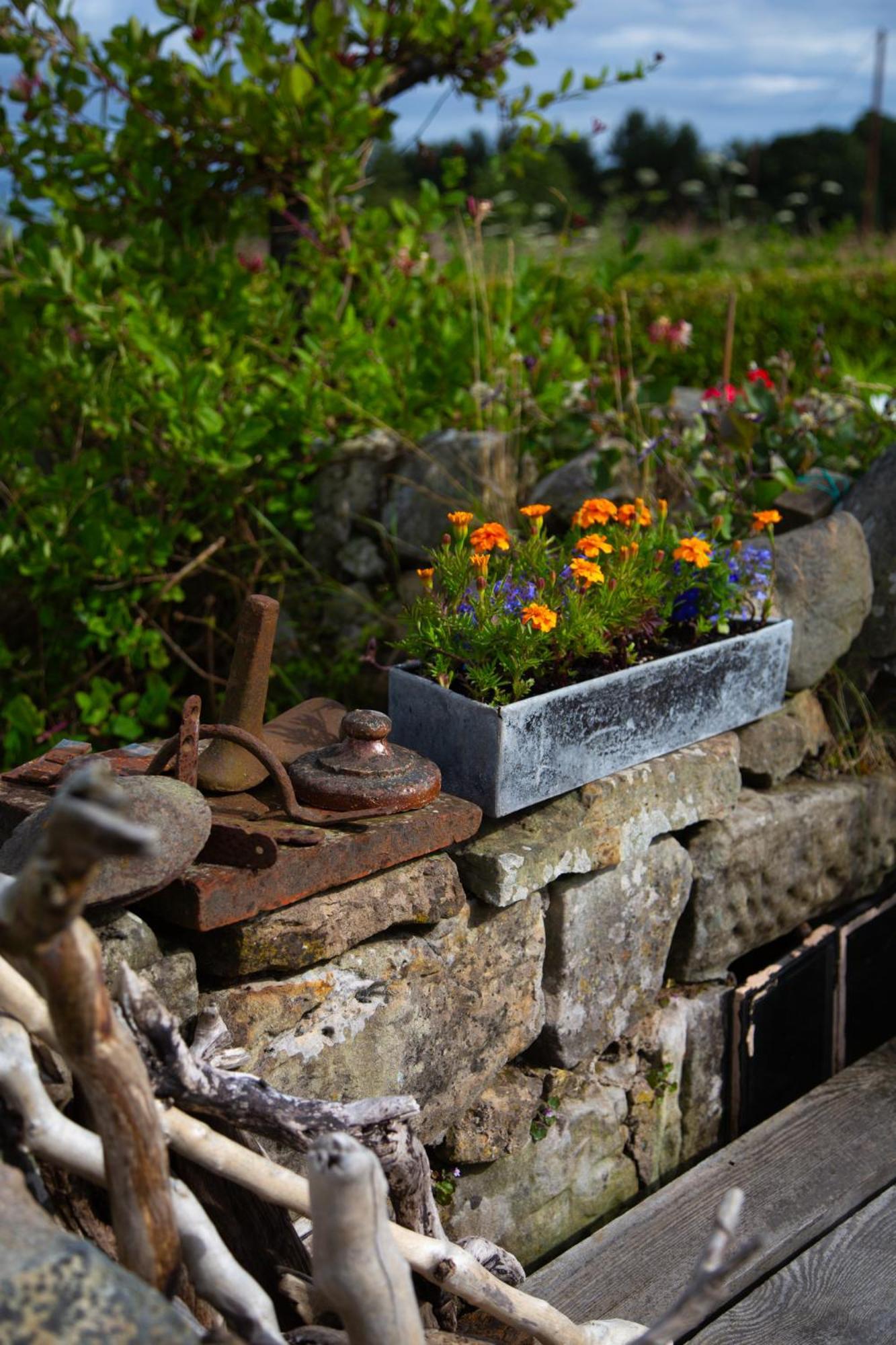 Balmungo Cottage B&B St Andrews Exterior photo