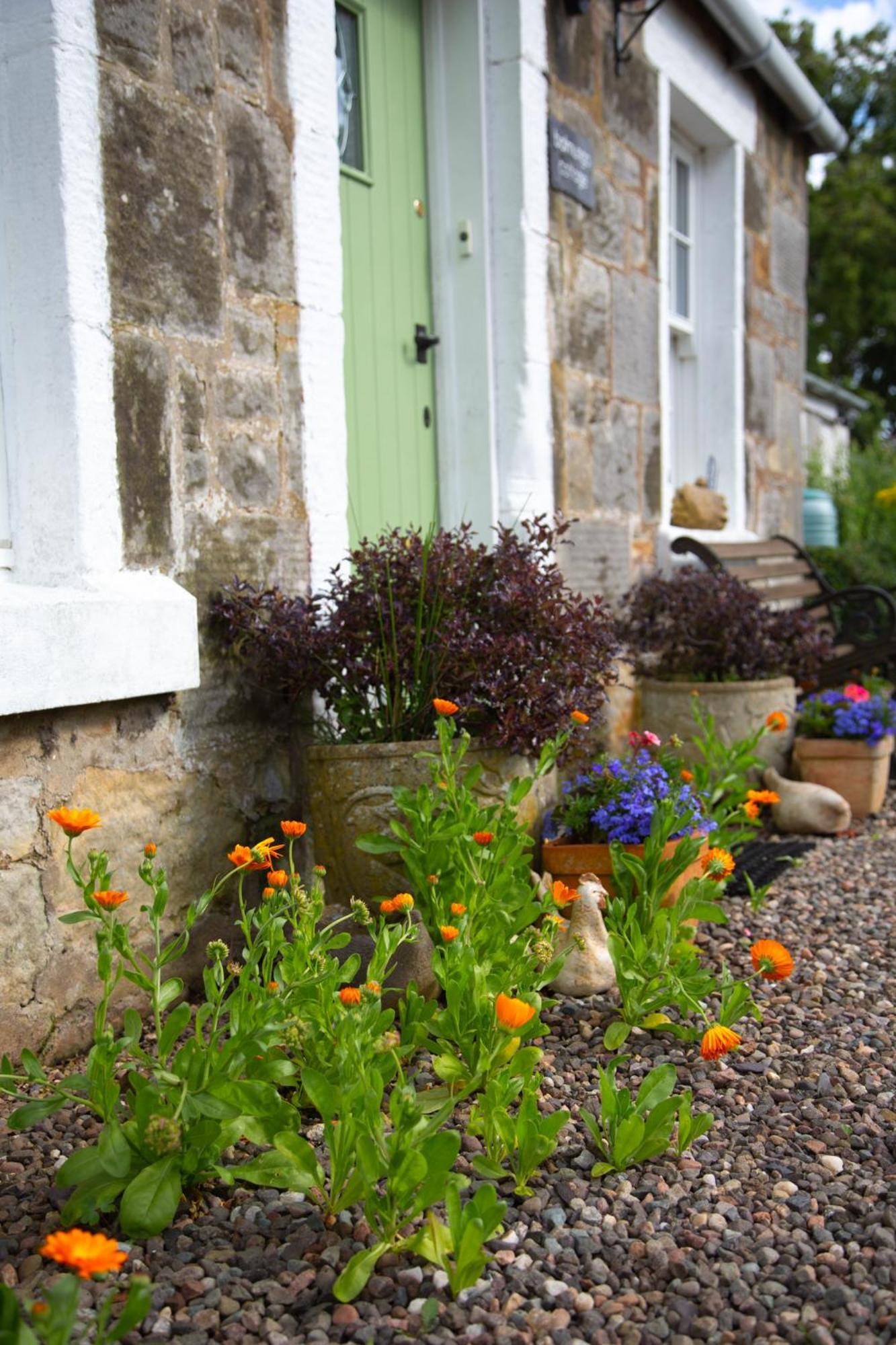 Balmungo Cottage B&B St Andrews Exterior photo